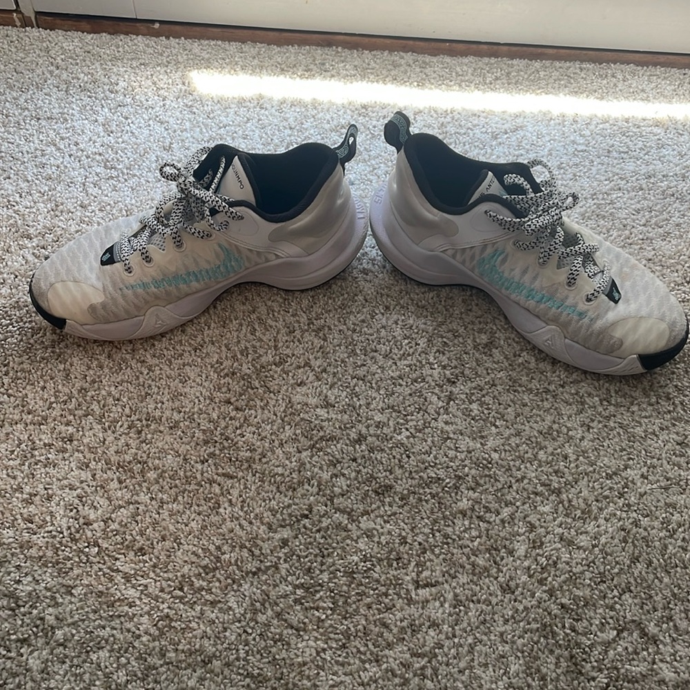 Nike Giannis Basketball/Court Shoes - GUC